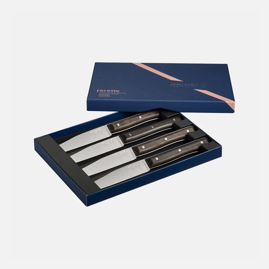 Coffret de 4 Couteaux de Table