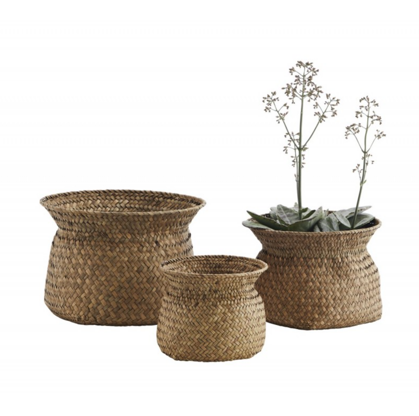 lot de 2 panier en jonc de mer