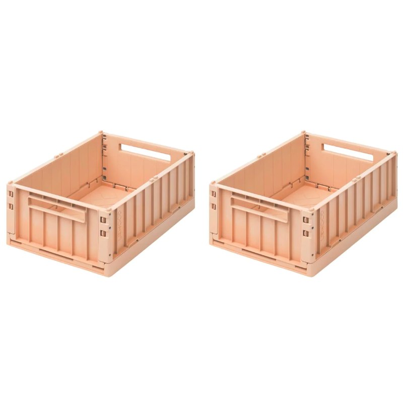 Lot de 2 boites de rangement WESTON taille M