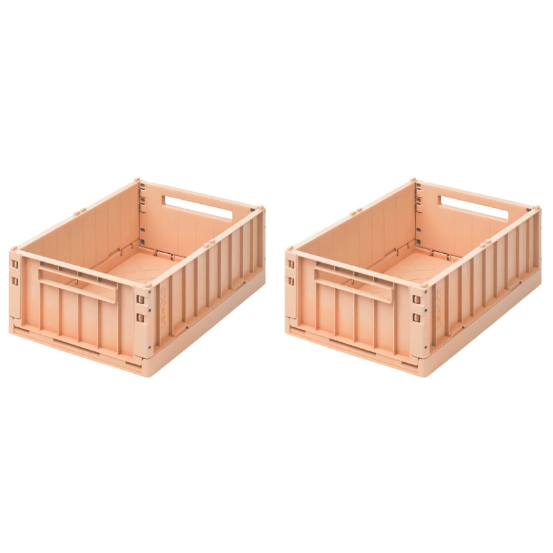 Lot de 2 boites de rangement WESTON  taille M