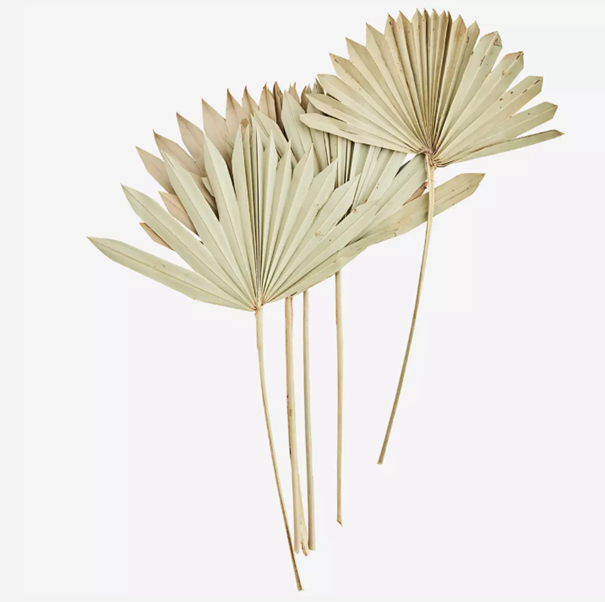 Bouquet de feuilles de palmier