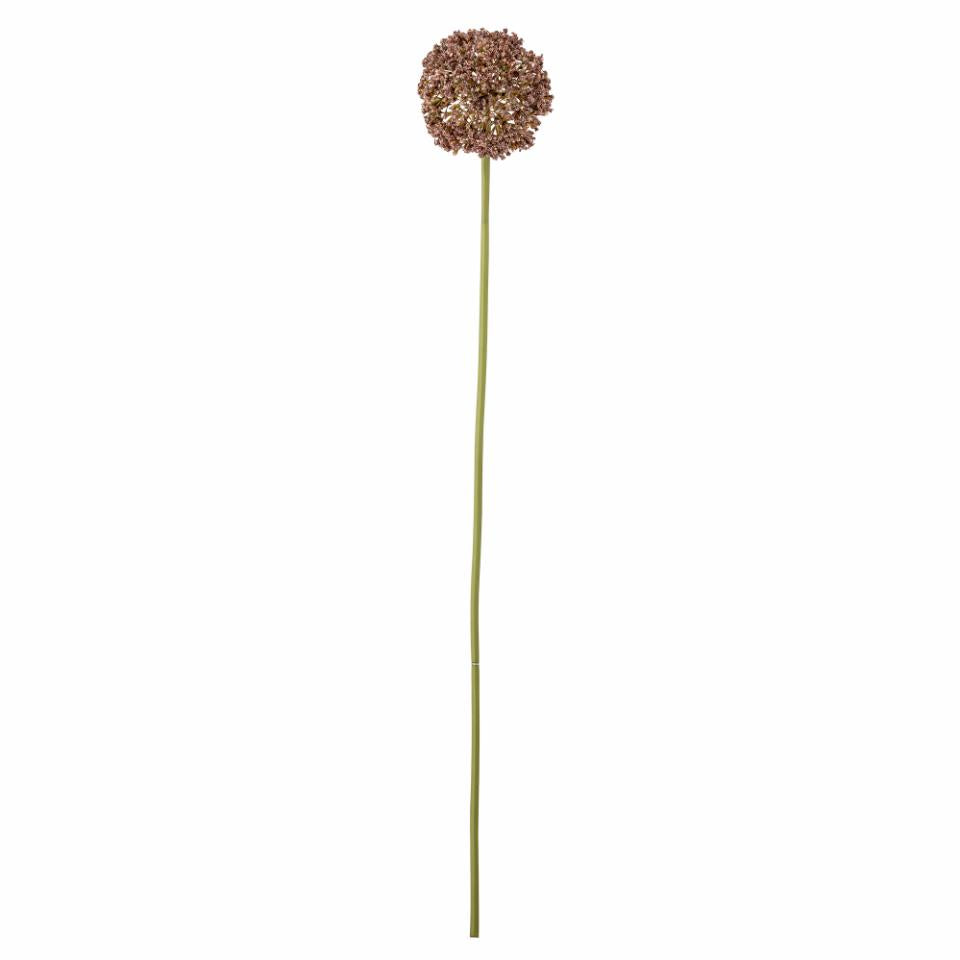 Fleur artificielle - Allium Tige D13xH63 cm