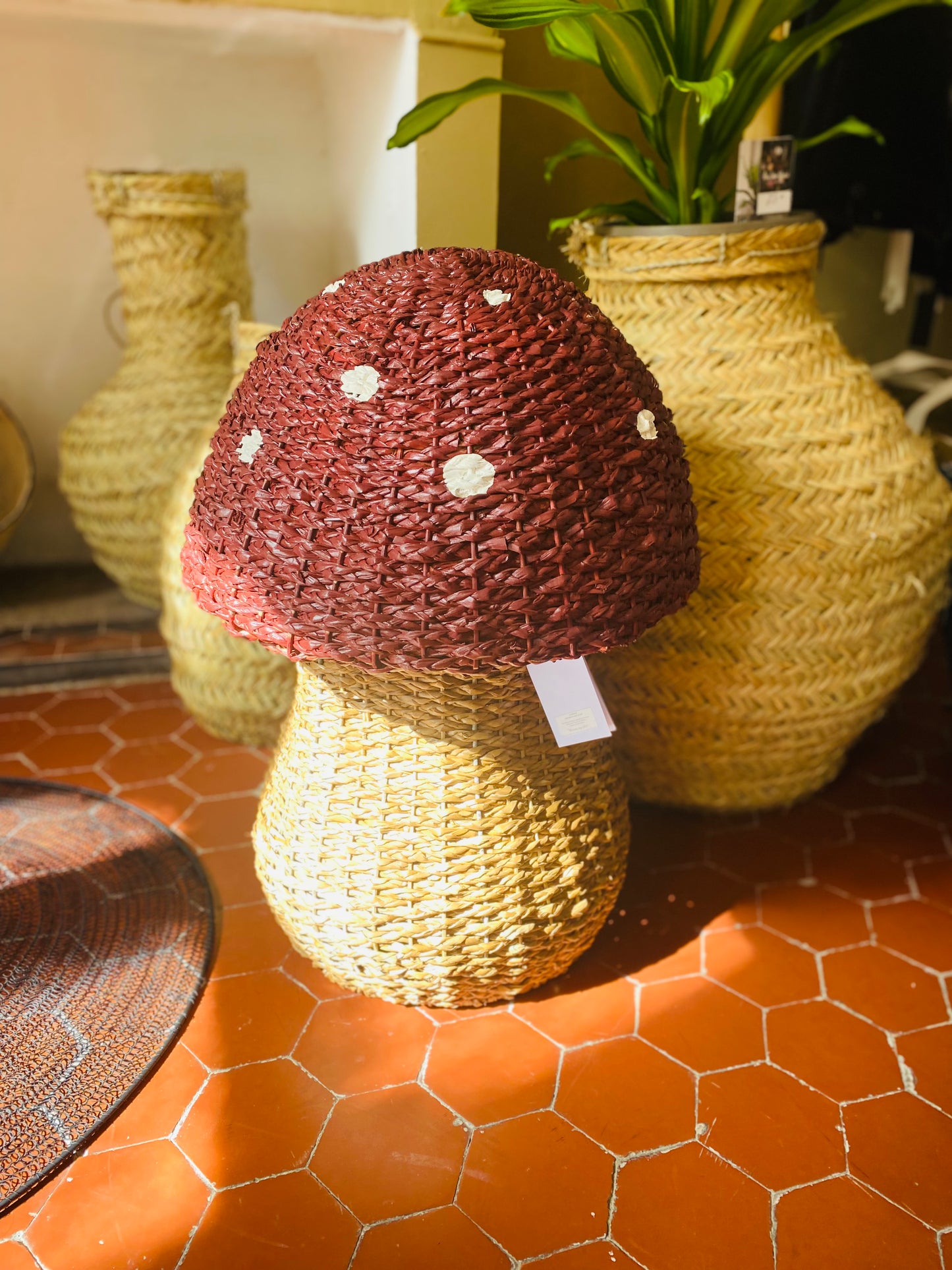 Panier avec couvercle - Corintha - Champignon Rouge, Herbier marin