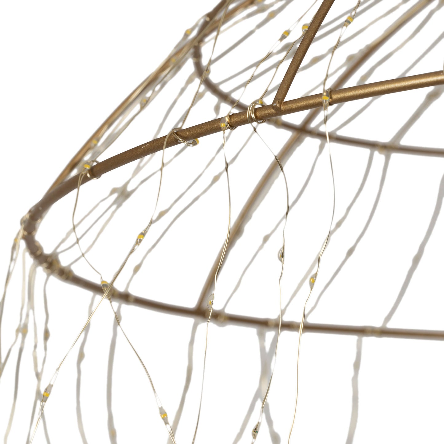 Méduse Lumineuse Dorée