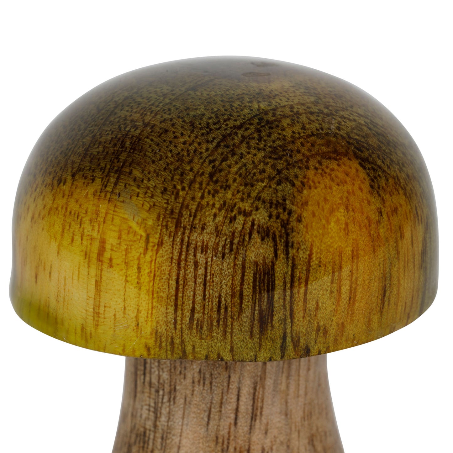 Déco champignons cauterets