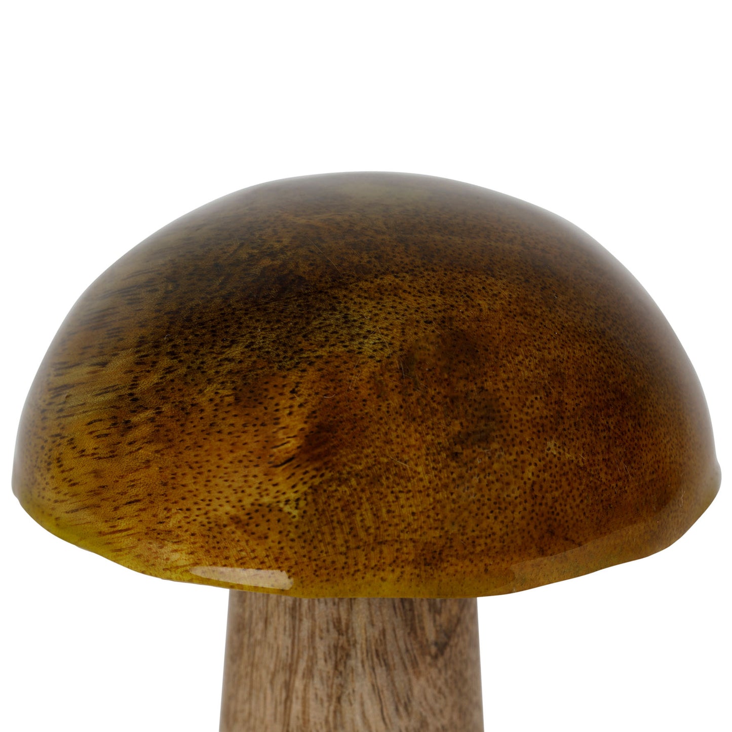 Déco champignons cauterets