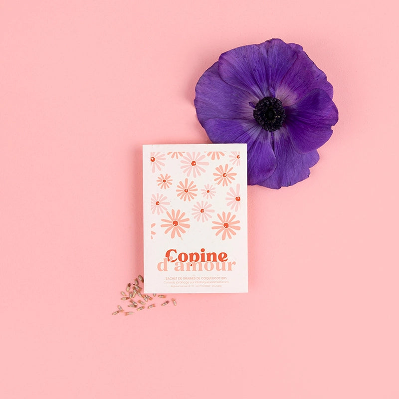 Sachet de graines à planter