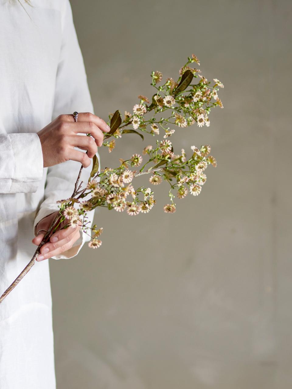 Waxflower artificielle sur tige – Blanc | Bloomingville