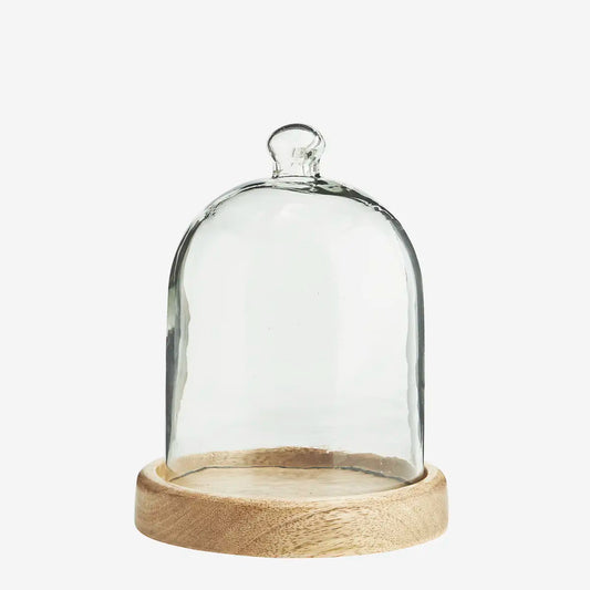 Cloche en Verre avec Socle en Bois